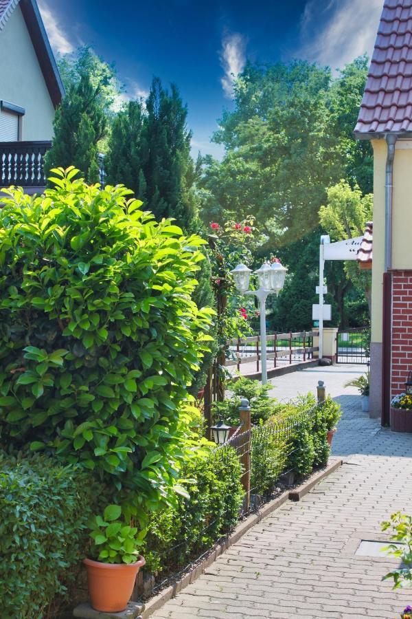 Pension Luisenhof Tangermünde Exterior foto
